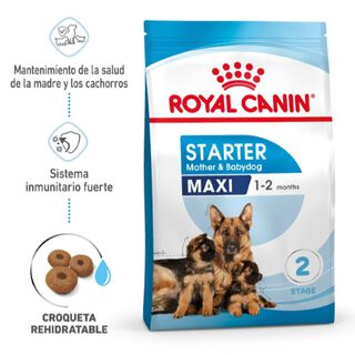 Royal Canin Starter Mother&Baby Maxi pienso para perros